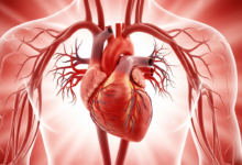 الوقاية من أمراض القلب والأوعية الدموية: أساليب فعالة