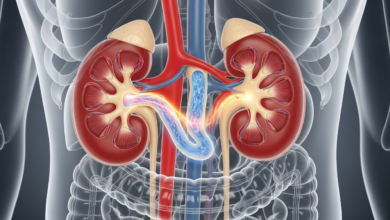 وظائف الكلى و ما هي الأعراض