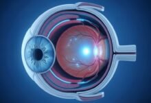 كيف تحسن صحة العين وتقيها من الأمراض الشائعة؟