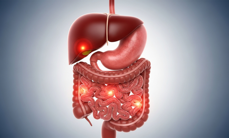 أمراض الجهاز الهضمي والكبد الأعراض والعلاج