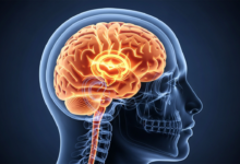 كيف تحافظ على صحة عقلك في مرحلة الشيخوخة