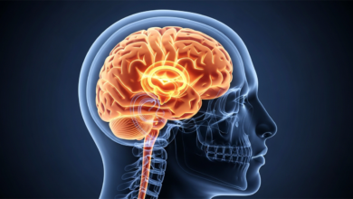 كيف تحافظ على صحة عقلك في مرحلة الشيخوخة